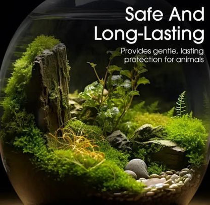 Moss Spore Powder Seeds 100gm Each (Pack of 2)