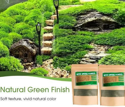 Moss Spore Powder Seeds 100gm Each (Pack of 2)